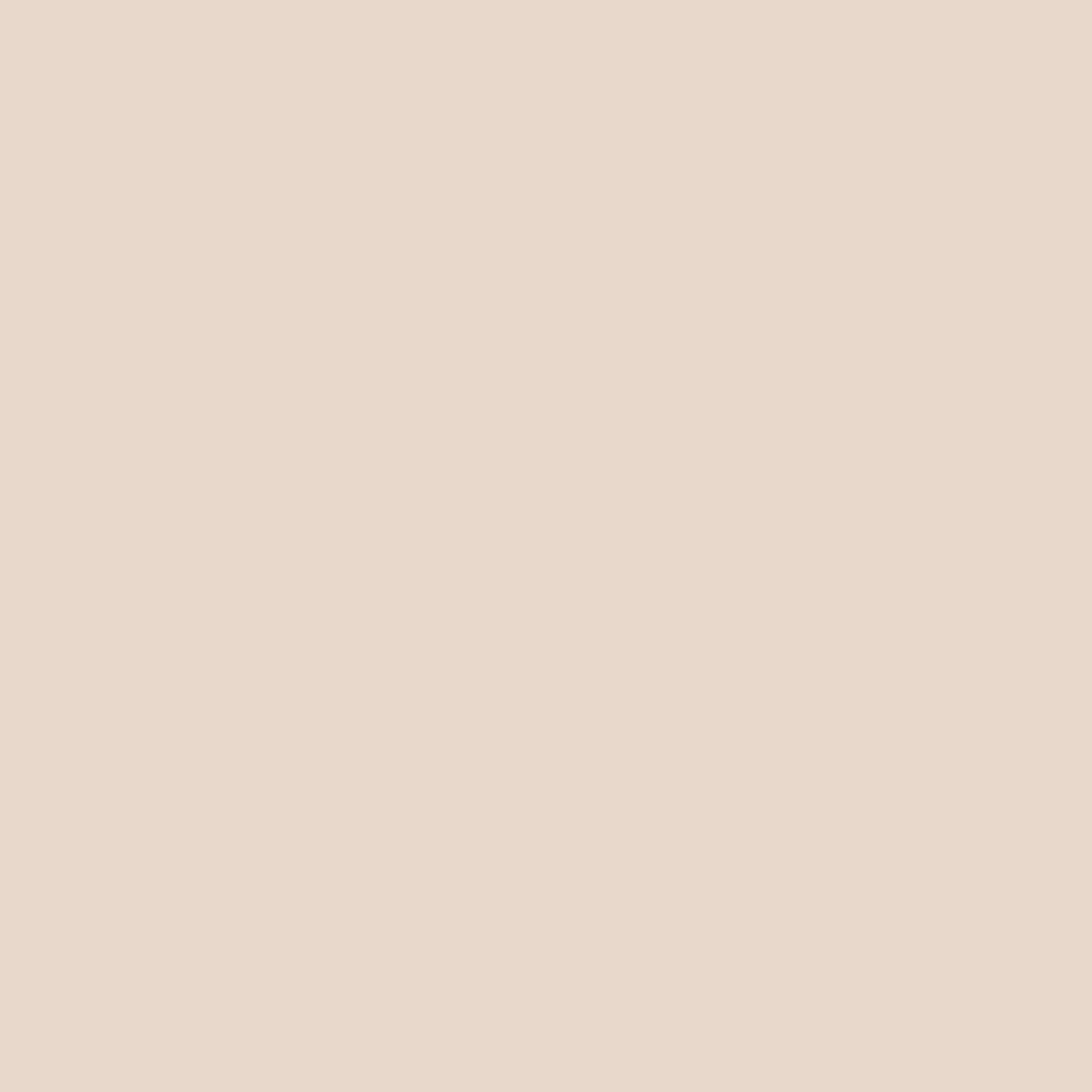 The Lumen Mid-Crew – Premium Cotton Socks (2 Pairs in Blush)