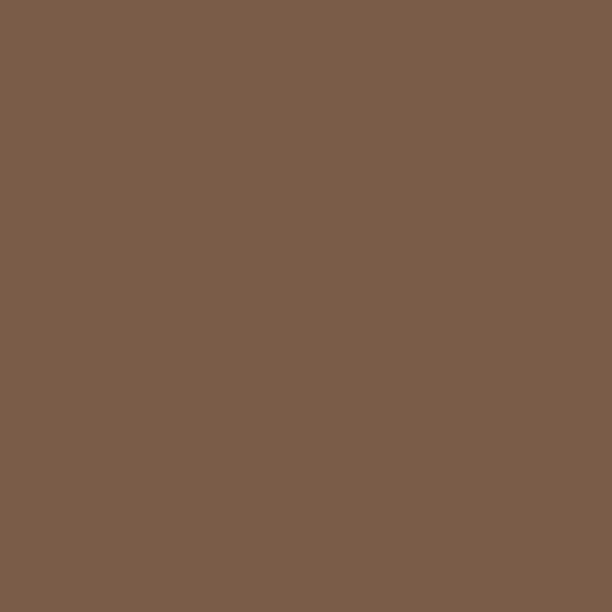 The Comfort Nova Crew – Premium Cotton Socks (2 Pairs in Mocha)