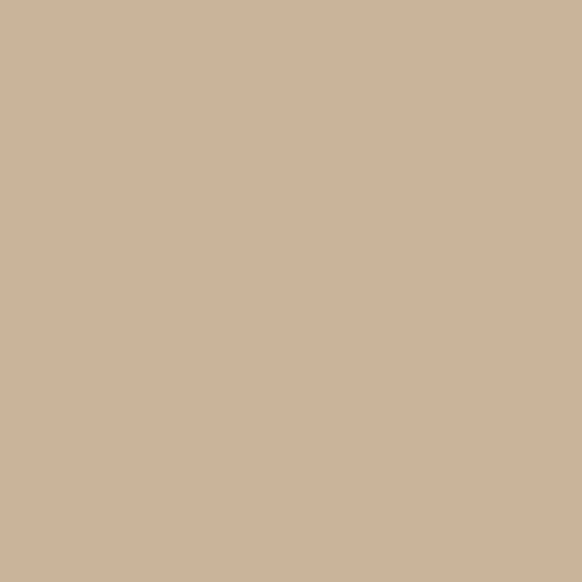 The Prima Crew – Premium Bamboo Socks  (2 Pairs in colour Sand)
